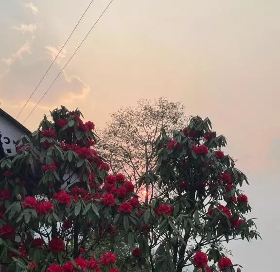 Alberg Wake In Himalayas
