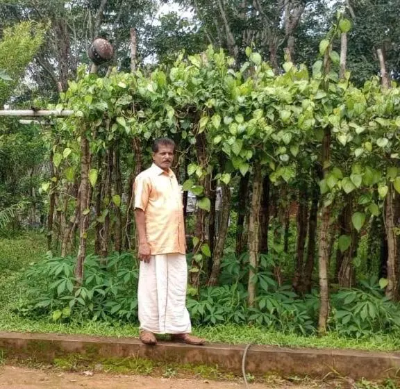 ホテル Vanasree Farmstay