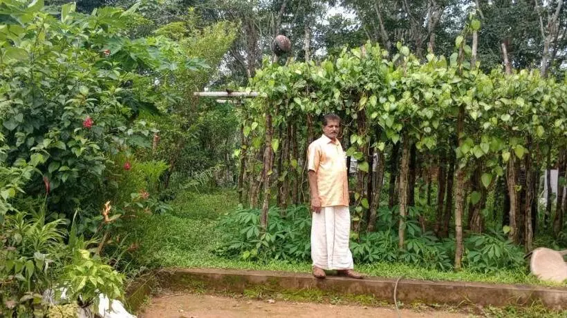 ホテル Vanasree Farmstay