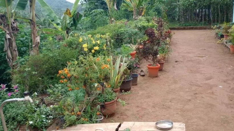 ホテル Vanasree Farmstay