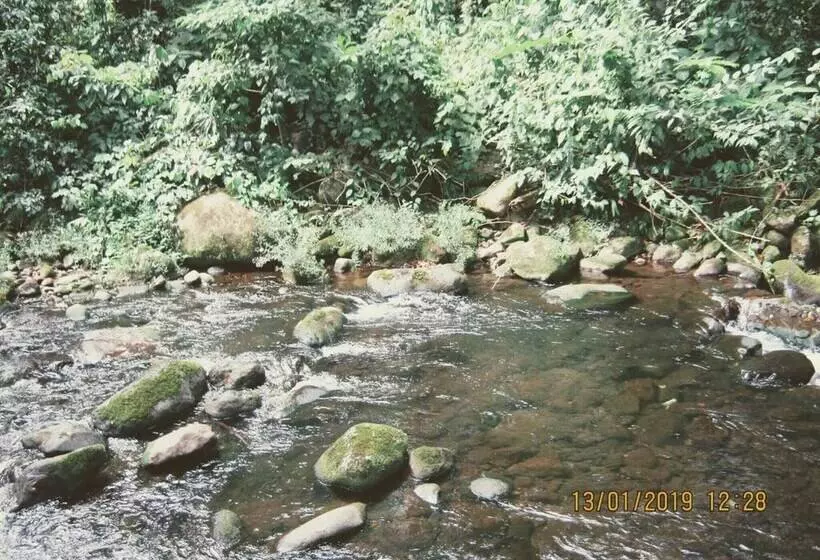 Majatalo Room In House   Habitacion Y Bano Independientes