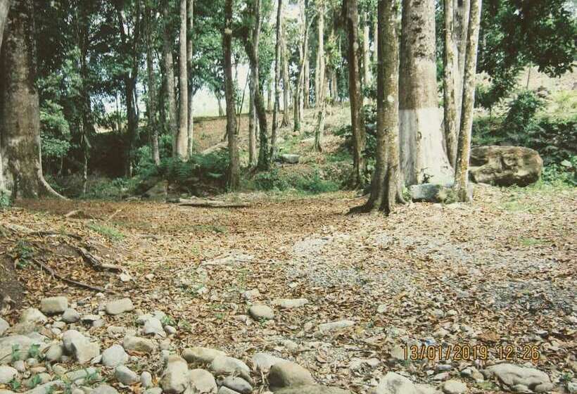 پانسیون Room In House Habitacion Y Bano Independientes