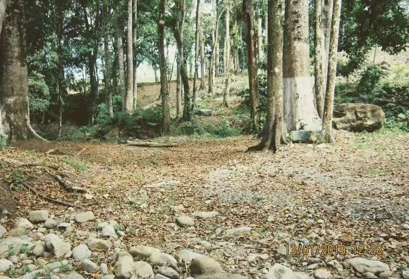 Majatalo Room In House   Habitacion Y Bano Independientes