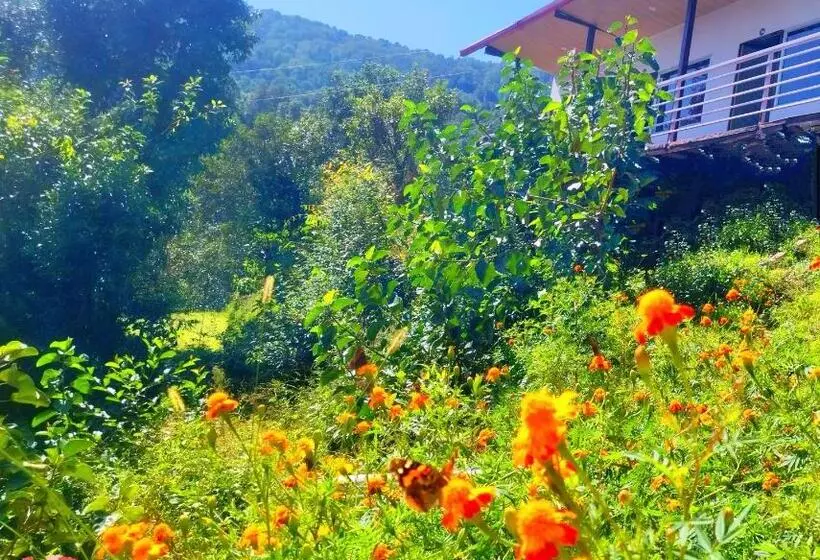 Shiv Shankar Resort
