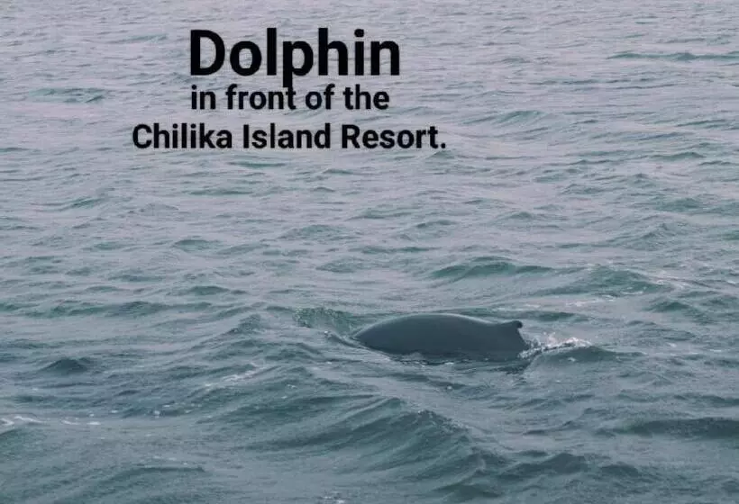 The Chilika Island Resort
