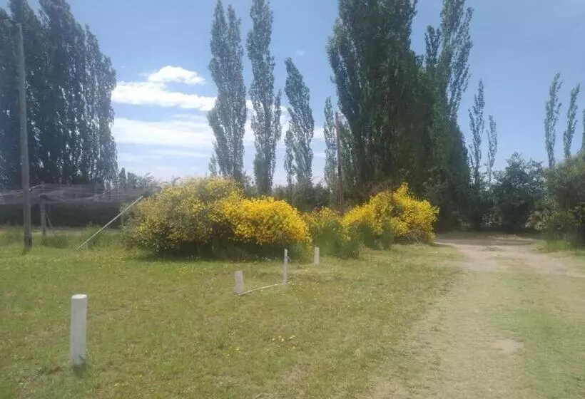 ユースホステル Complejo Estudiantil Las Acacias