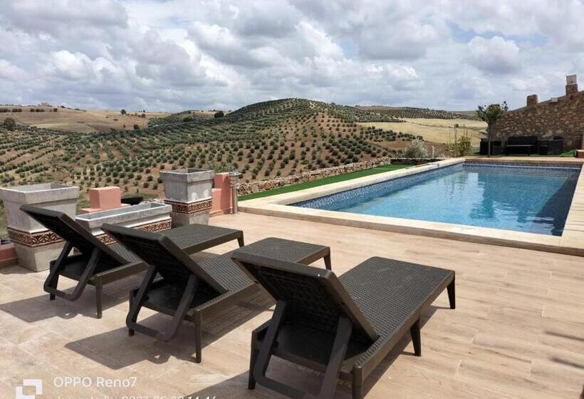 هتل The Red Castle