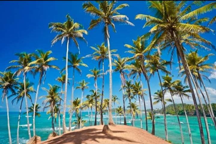 Pension Clio Resort Mirissa