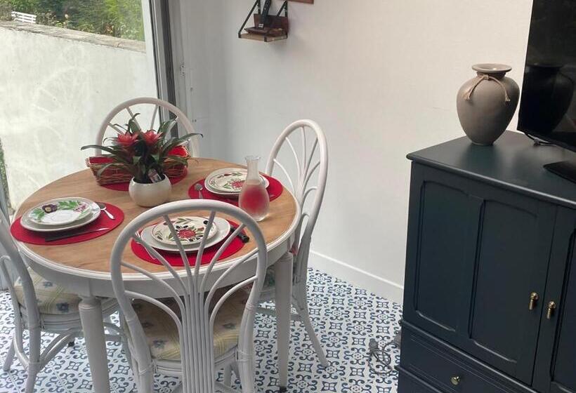 پانسیون Lady Cosmopolite