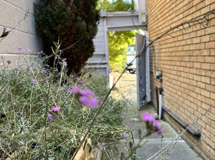 פנסיון Malahide Guest Rooms