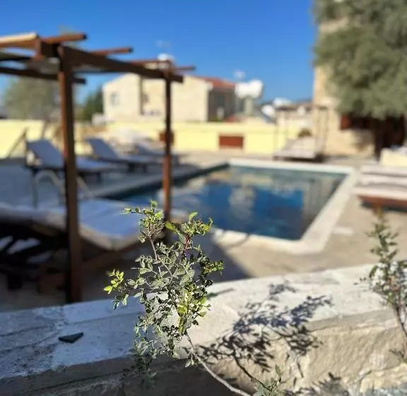 Stone Court Boutique Studios