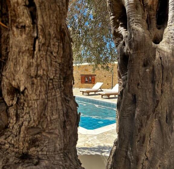 Stone Court Boutique Studios