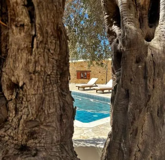 Stone Court Boutique Studios