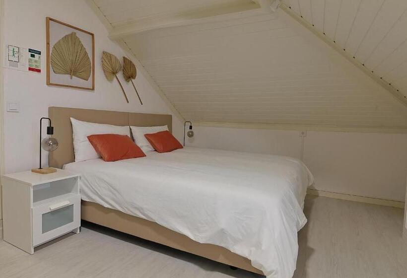 旅馆 Vila Olivença