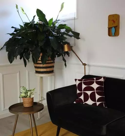 B&b Nr.15