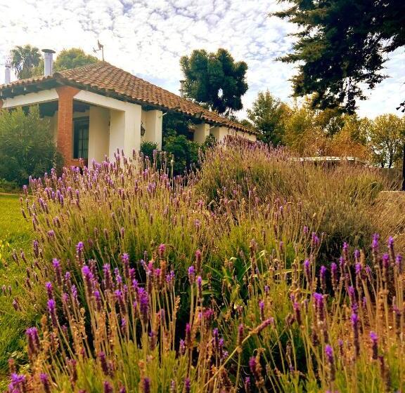 تختخواب و صبحانه Boutique Casona Oriente