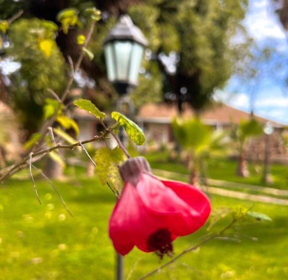 تختخواب و صبحانه Boutique Casona Oriente