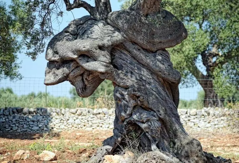 تختخواب و صبحانه Dimora Rudiae Lecce