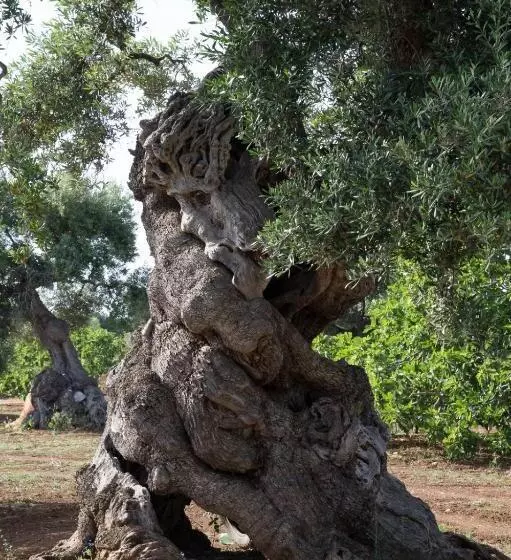 تختخواب و صبحانه Dimora Rudiae Lecce