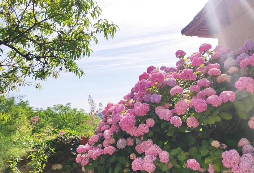 צימר La Fontaine Du Mas