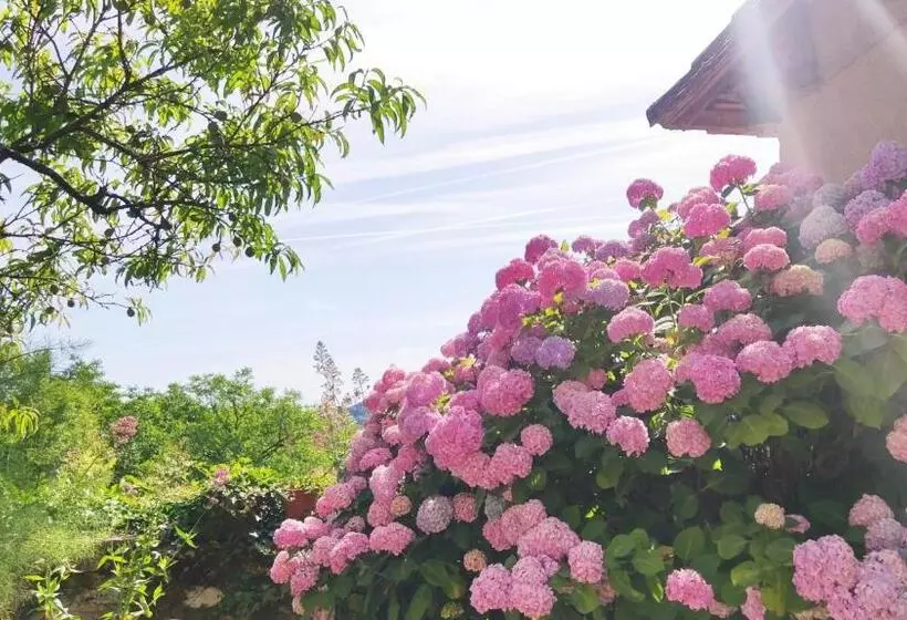 ベッドアンドブレックファースト La Fontaine Du Mas