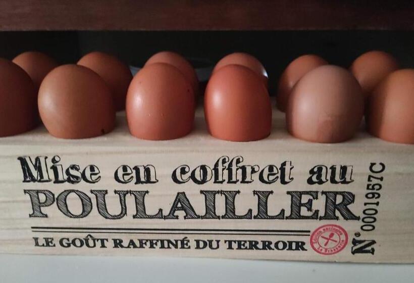 צימר La Fontaine Du Mas