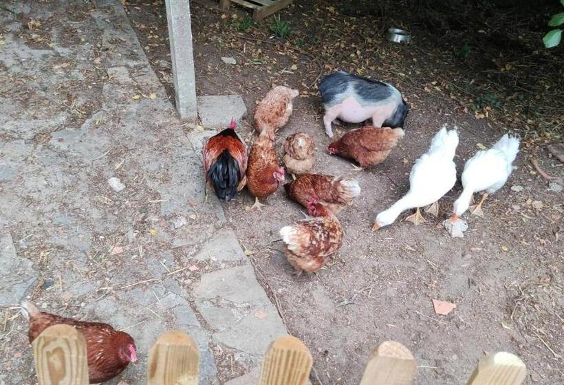 צימר La Fontaine Du Mas