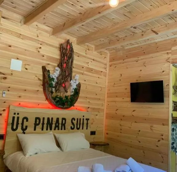 ベッドアンドブレックファースト üç Pınar Cafe & Suit Bungalow