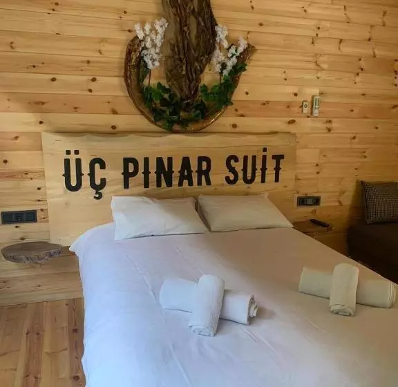 ベッドアンドブレックファースト üç Pınar Cafe & Suit Bungalow