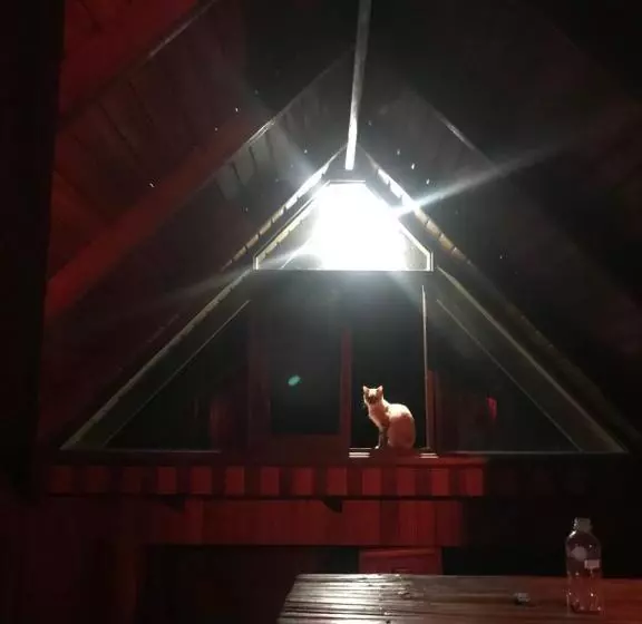 تختخواب و صبحانه The Roadhouse