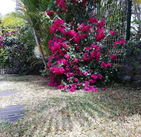 Bed and Breakfast Villa Parenthèse Zen Réunion