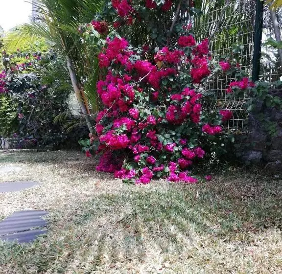 تختخواب و صبحانه Villa Parenthèse Zen Réunion