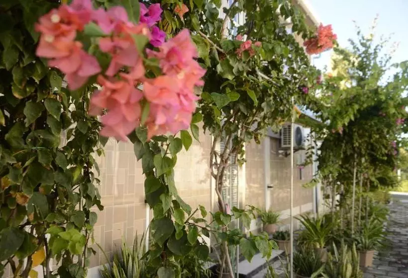 پانسیون Isle Inn Guesthouse