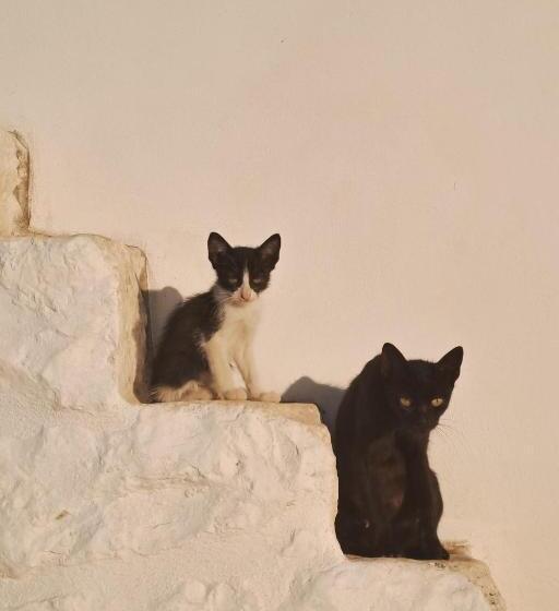 پانسیون Nostos Trulli