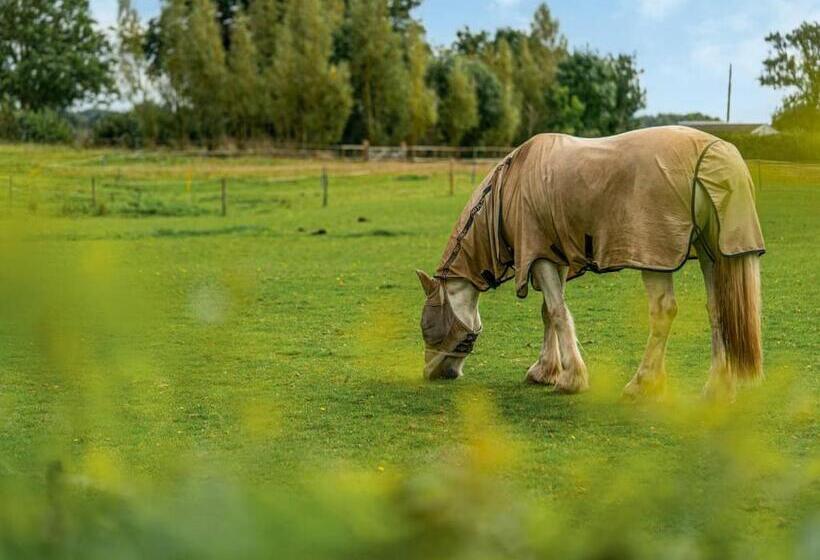 منتجع Luckington Burrows