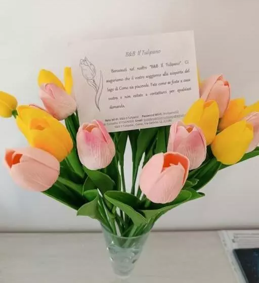 B&b Il Tulipano