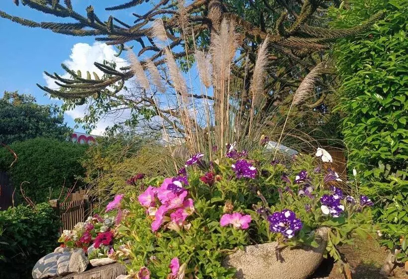 B&b Il Tulipano