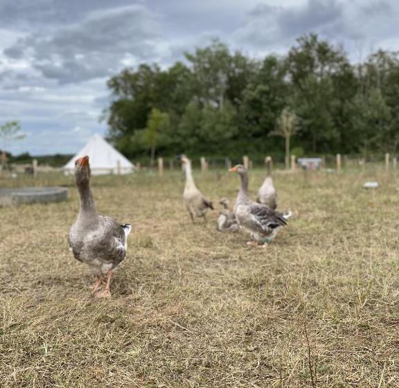 호텔 La Bêle & Toile