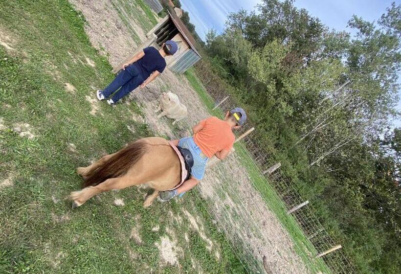 호텔 La Bêle & Toile