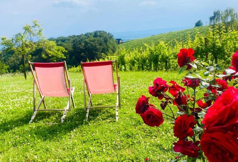 Пансион Weingut Radl