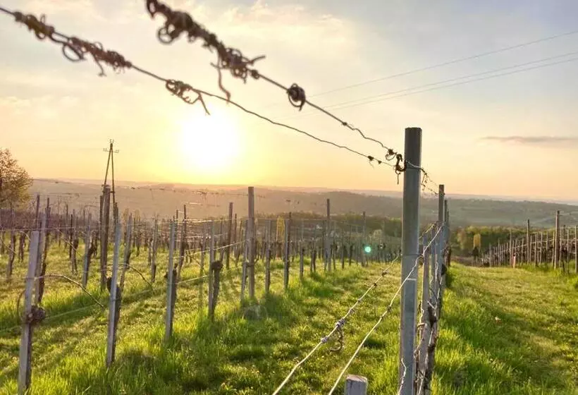 ペンション Weingut Radl