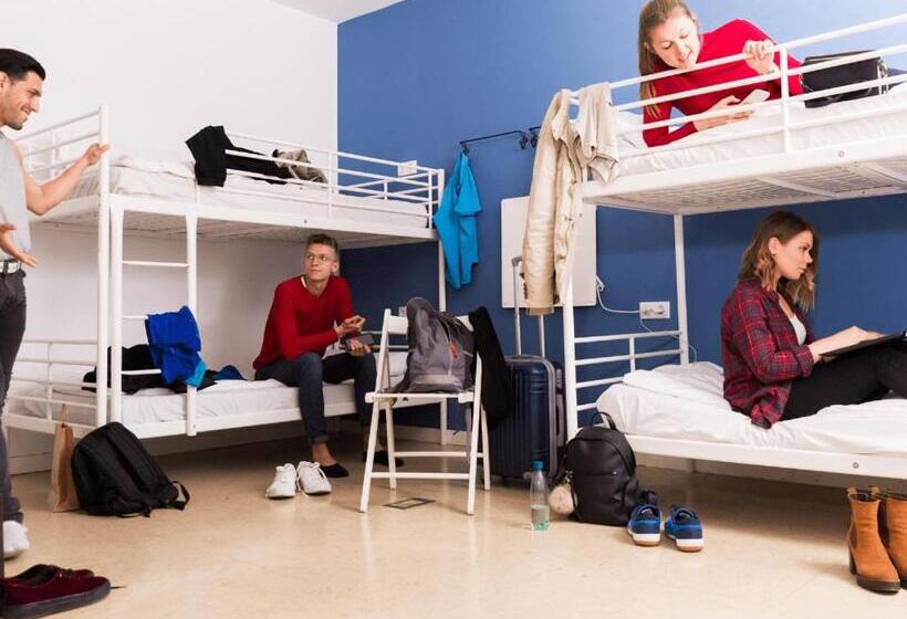 Schronisko Affordable Socal Living