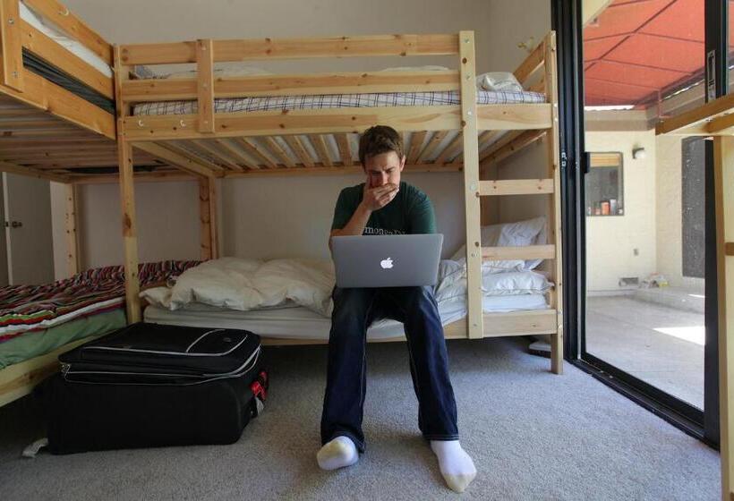 Schronisko Affordable Socal Living