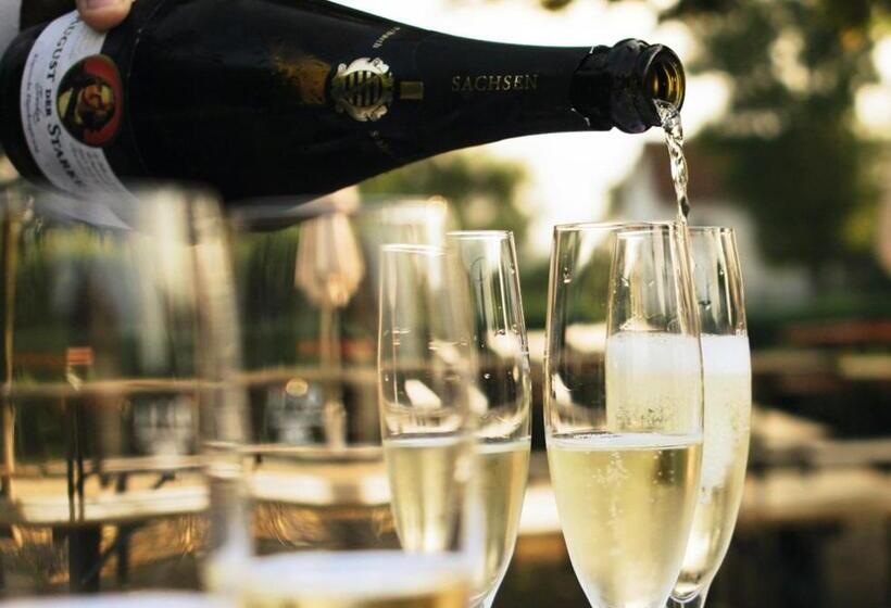 Отель Am Schwanenhaus