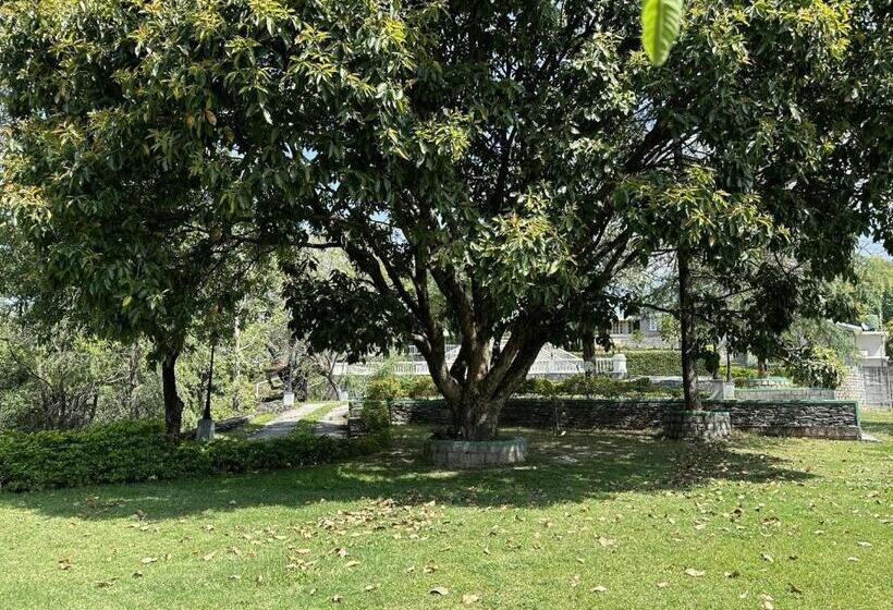 호텔 Brij Anayra Dharamshala   A Himalayan Luxury Retreat