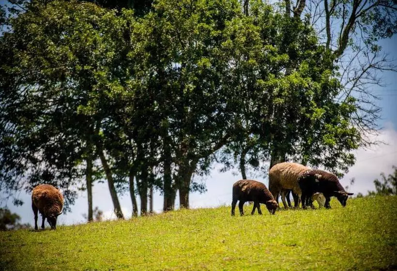 ホテル Chale Em Curitiba   Chales Portugal