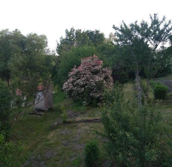 פנסיון La Cigaliere