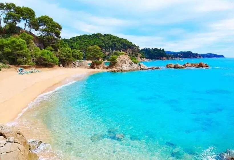 ペンション Seaview Tiny House 1 Km Nach Platja D Aro Und Stränden