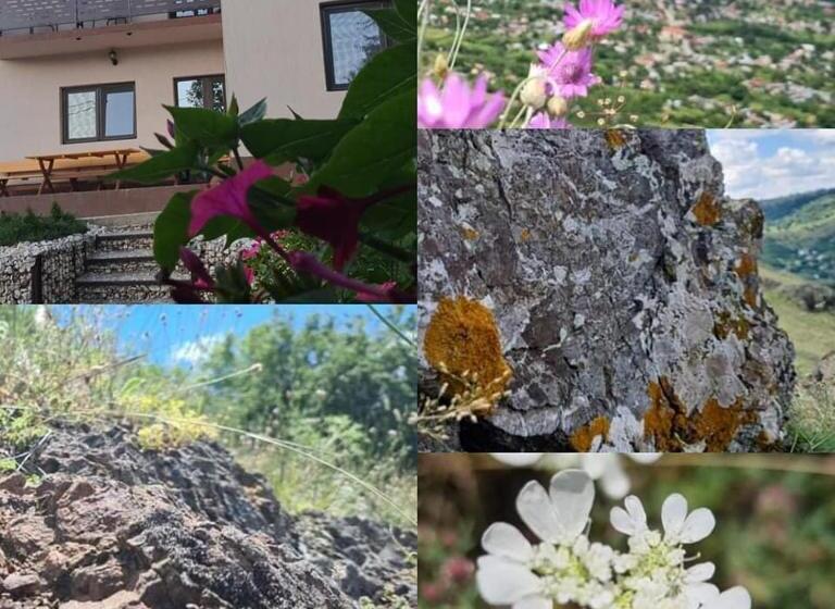 Piatra Rosie Pensiune Agroturistică
