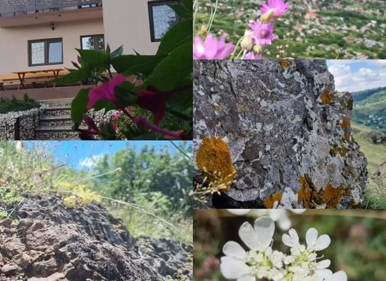 Piatra Rosie Pensiune Agroturistică